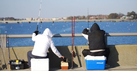 波打ち際の達人。