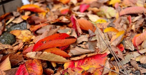 誰もいなくなった楽園。