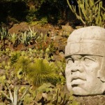 ランチョクカモンガ