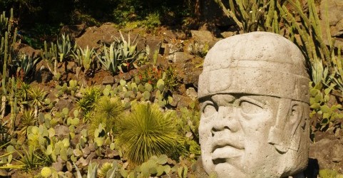 ランチョクカモンガ